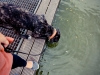 13_08_18_werder077
