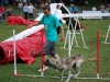 BAÏLA de la Pluie de Loups