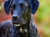 131002_zim_herbst_020