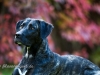 131002_zim_herbst_070