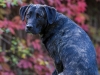 131002_zim_herbst_102