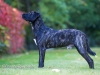 131002_zim_herbst_124