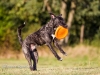 131002_zim_herbst_143
