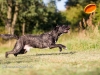 131002_zim_herbst_149