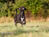 131002_zim_herbst_171