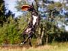 131002_zim_herbst_177