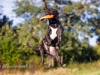 131002_zim_herbst_178