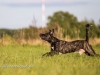 131002_zim_herbst_222
