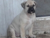 14_12_13_Rumo01