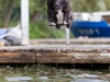 130823_zim_freischwimmer_096