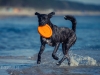 14_06_09_Zim_StrandFrisbee215