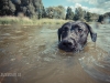14_07_06_Zim_See064