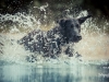 14_08_Zim_Urlaub03