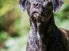 14_09_17_Tiago_Zim163-533x800