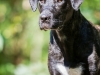 14_09_17_Tiago_Zim168-533x800